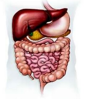 מרכז הגסטרו